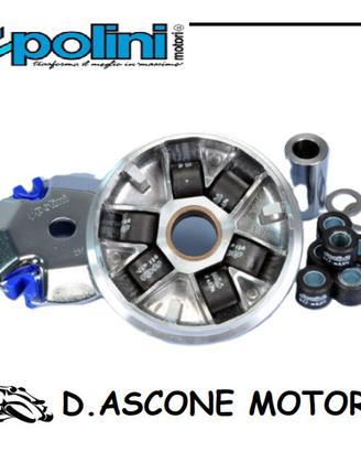 VARIATORE POLINI PEUGEOT RS BUXY LOOXOR TSDI SPEED