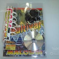 Variatore malossi multivar honda zx 50 dio