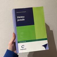 manuale di diritto penale