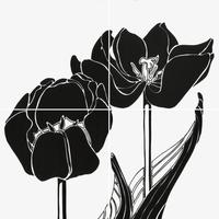 Piastrelle tulipani black/white ceramica bardelli