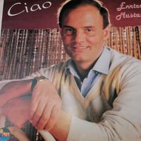 vinili 33 giri Enrico Musiani