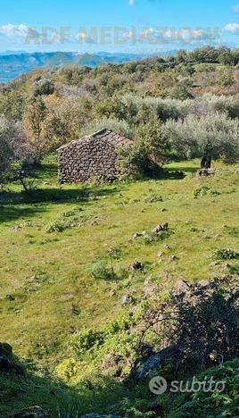 Terreno Agricolo Con Rudere - Vista 4