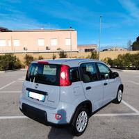 FIAT Panda 1.0 FireFly S&S Hybrid – Pari al Nuovo 