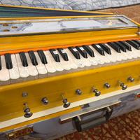 Strumenti musicale indiano