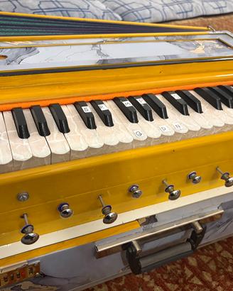 Strumenti musicale indiano