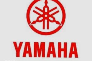 Yamaha F40 per ricambi 