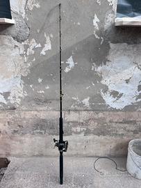 Canna da pesca con mulinello da traino