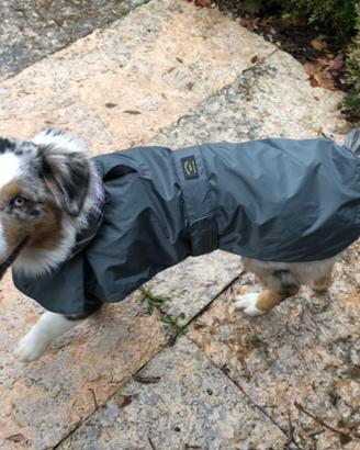 impermeabile per cane 2 in 1   41cm