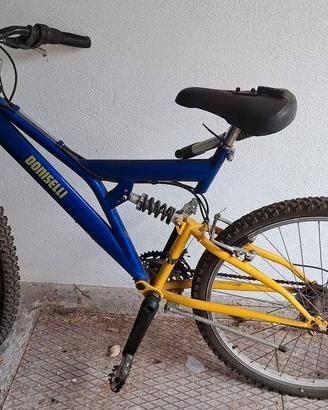 Mountain Bike