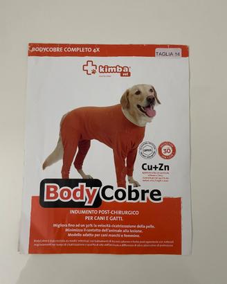 TUTINA POST-CHIRURGICA PER CANI