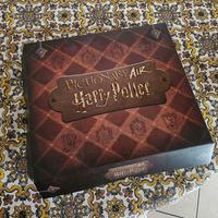 Pictionary Air Harry Potter