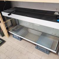 acquario 240lt EHEIM, senza filtro e senza luci.