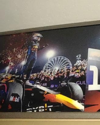Quadro Max Verstappen
