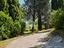 Immagine 30