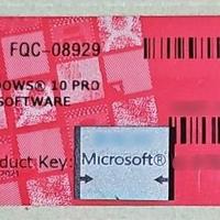 Windows 10 Professional Coa Sticker