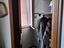 Immagine 28