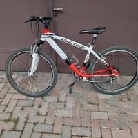 MtB Olivieri ammortizzata