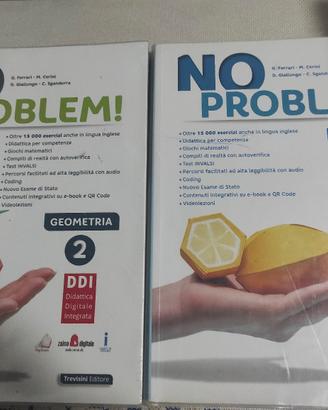 Libro NO PROBLEM 2 scuola media