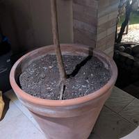 vaso terracotta 67cm 