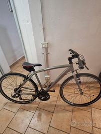 Bici Bottecchia Lite Cross 