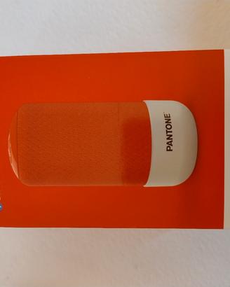 speaker Pantone