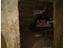 Immagine 22