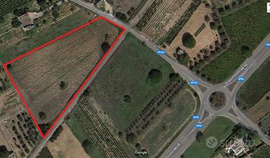 Terreno agricolo a Melissano di circa 9.000 mq