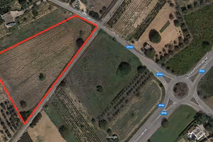 Terreno agricolo a Melissano di circa 9.000 mq