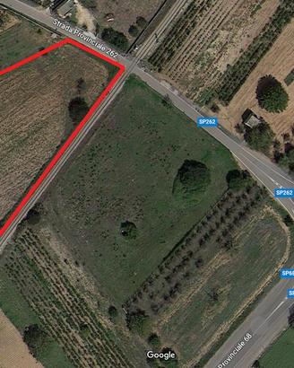 Terreno agricolo a Melissano di circa 9.000 mq