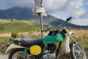 montesa king scorpion 250