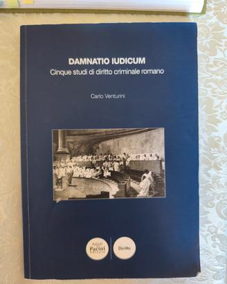 Damnatio Iudicum