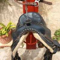 Attrezzatura per cavalli