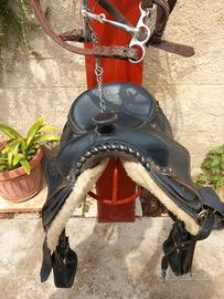 Attrezzatura per cavalli