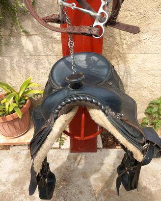 Attrezzatura per cavalli