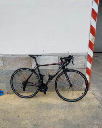 Bici da corsa merida scultura