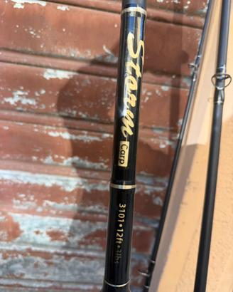 Canne da carpfishing