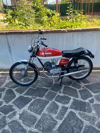 Morini Corsarino zz