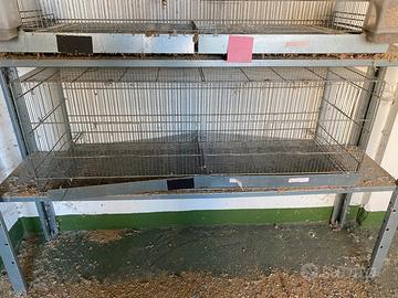 Gabbie da cova e riproduzione 120x60x60