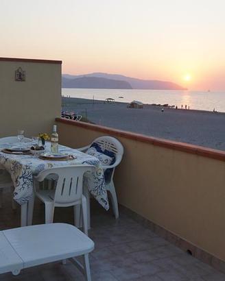 Stella marina