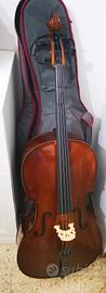 Violoncello Stentor