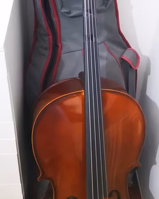 Violoncello Stentor