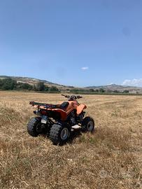 Suzuki Altro modello - 2009