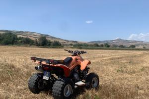 Suzuki Altro modello - 2009