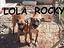 Immagine 1