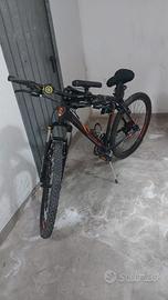 mountain bike Lombardo!