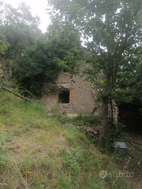 Rudere di 80 mq piu terreno 10000