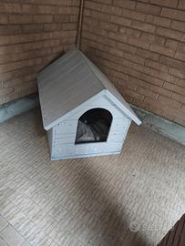 cuccia per cani
