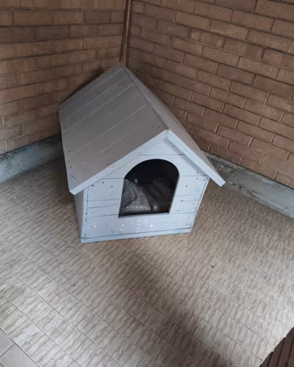 cuccia per cani