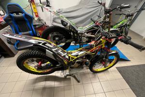 Trial trs gold 300 2020