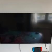 TV Samsung UE55AU8070UXZT – Non funzionante